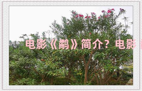 电影《鹬》简介？电影 鹬